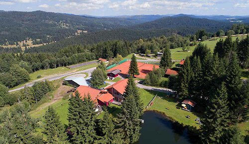 Herzigs Ferienhaus in Mitterfirmiansreut im Bayerischen Wald
